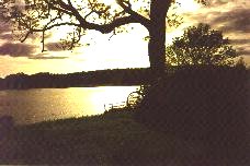 Loch Ken 